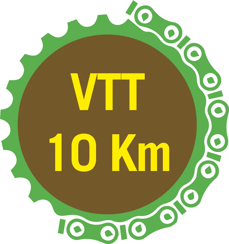 vtt10